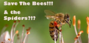 Save the Bees