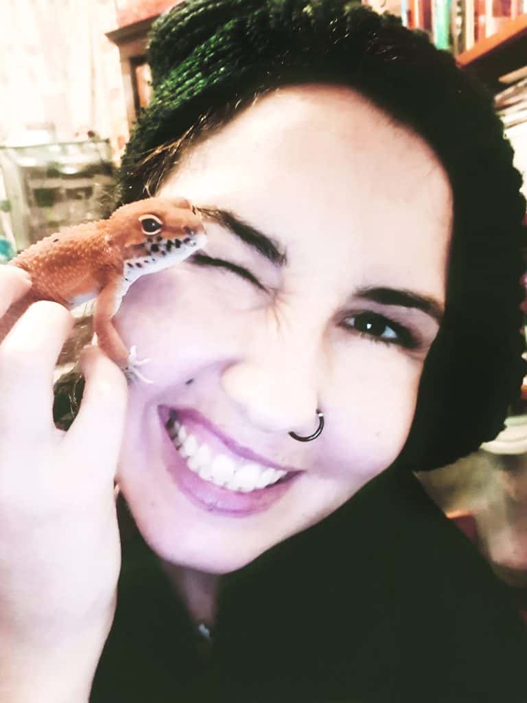 Britain Stelly With Gecko
