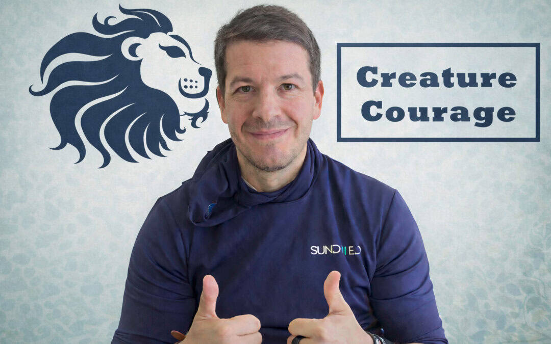 Overcoming The Fear of Spiders: A UK Success Story