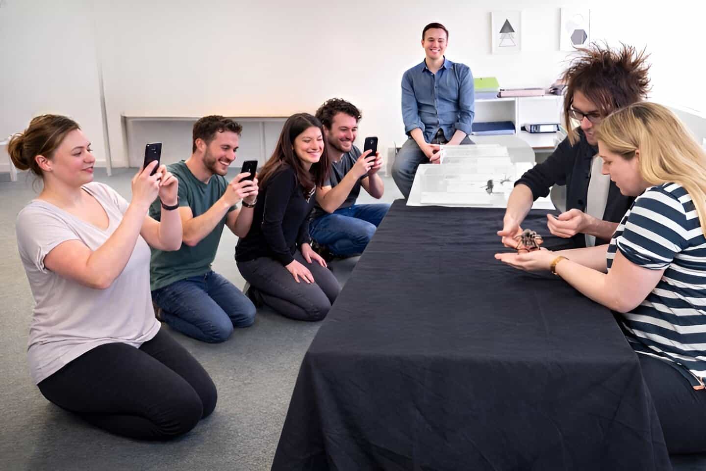 Group of people on a Creature Courage Team Building Experience