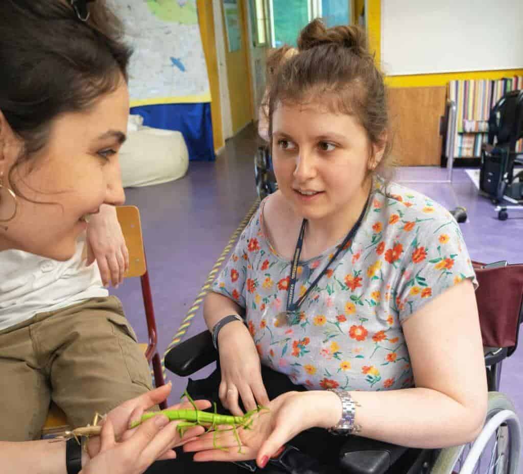 Disabled Student Anxiety Workshops Creature Courage