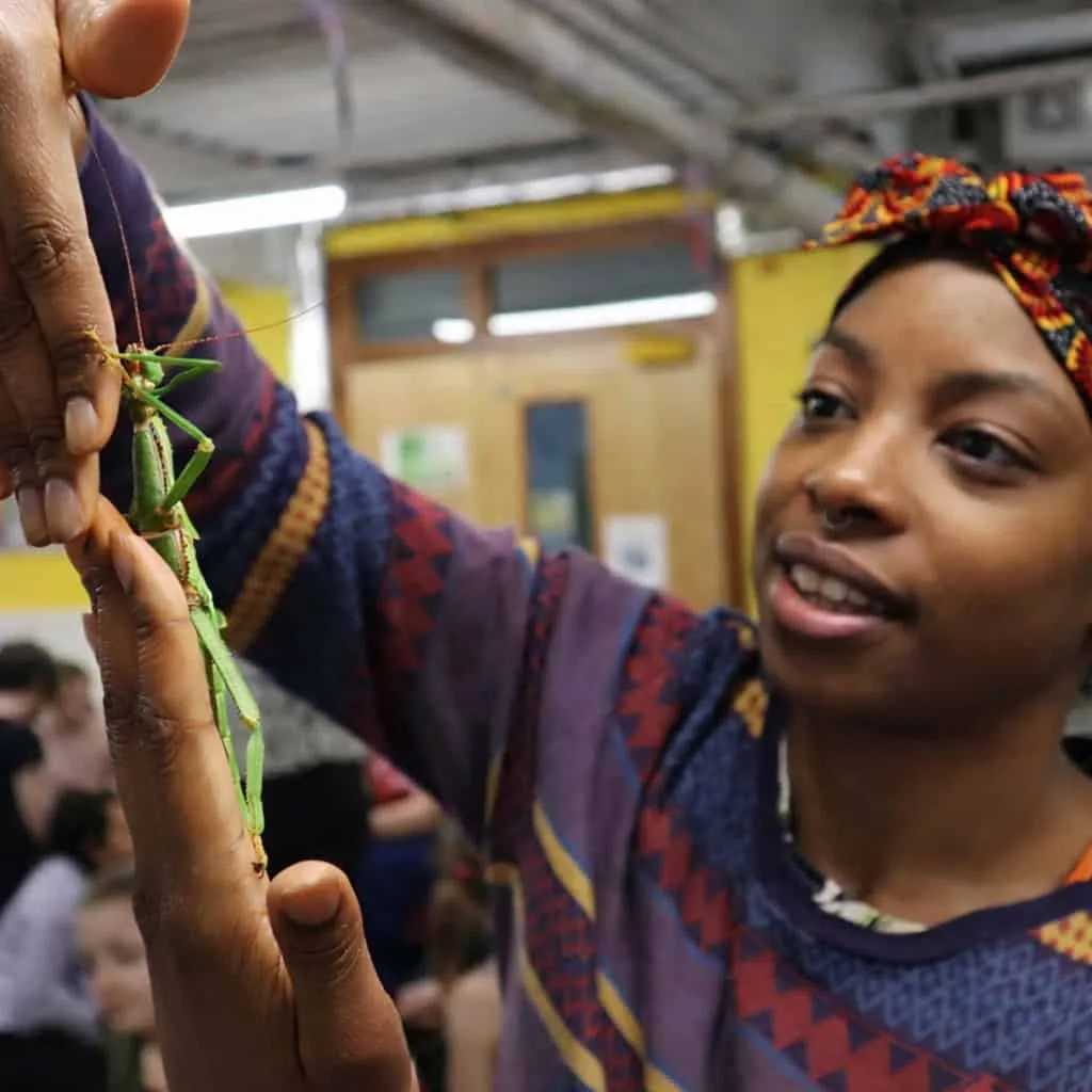 Student Handling Stick Insect Anxiety Workshop Creature Courage