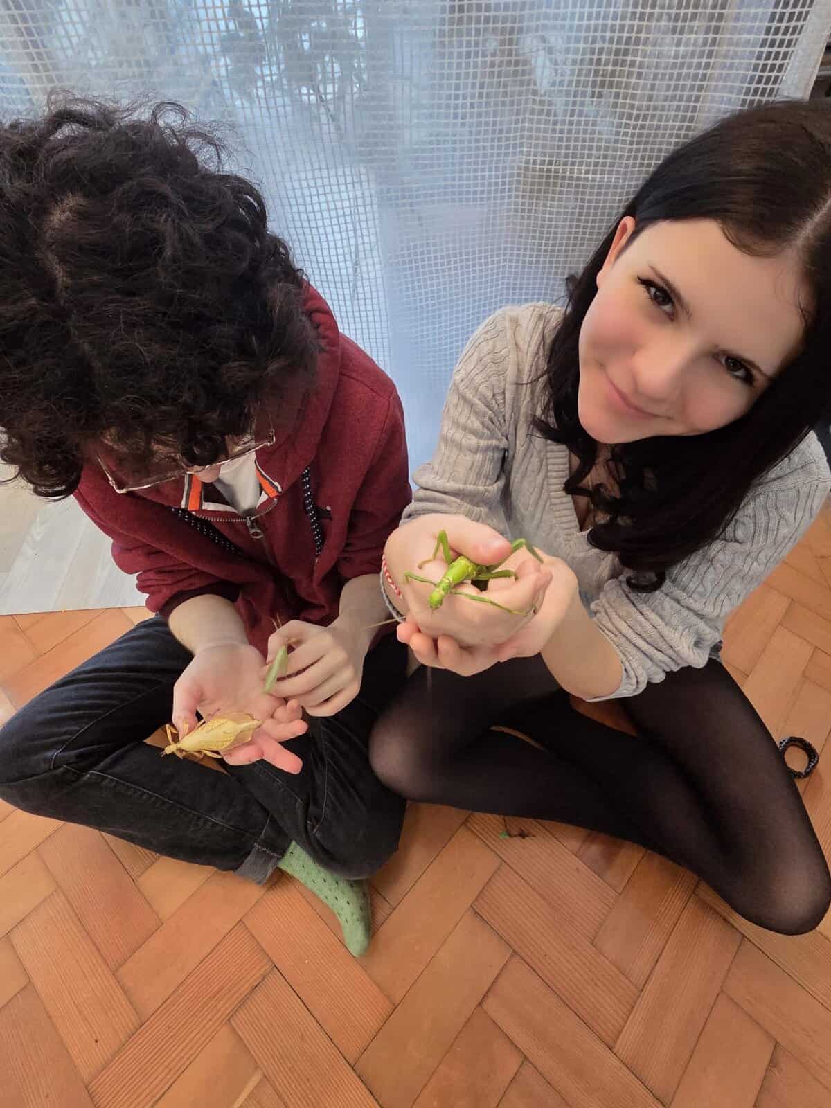 Unique Teambuilding Workshop Creature Courage With Tarantula