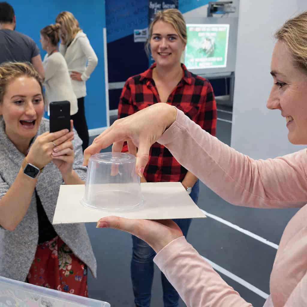 Teambuilding Workshop Activities Creature Courage