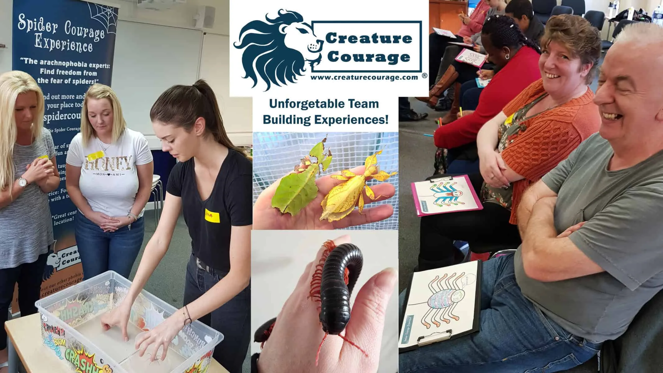 Unforgettable Team Building Experiences Creature Courage